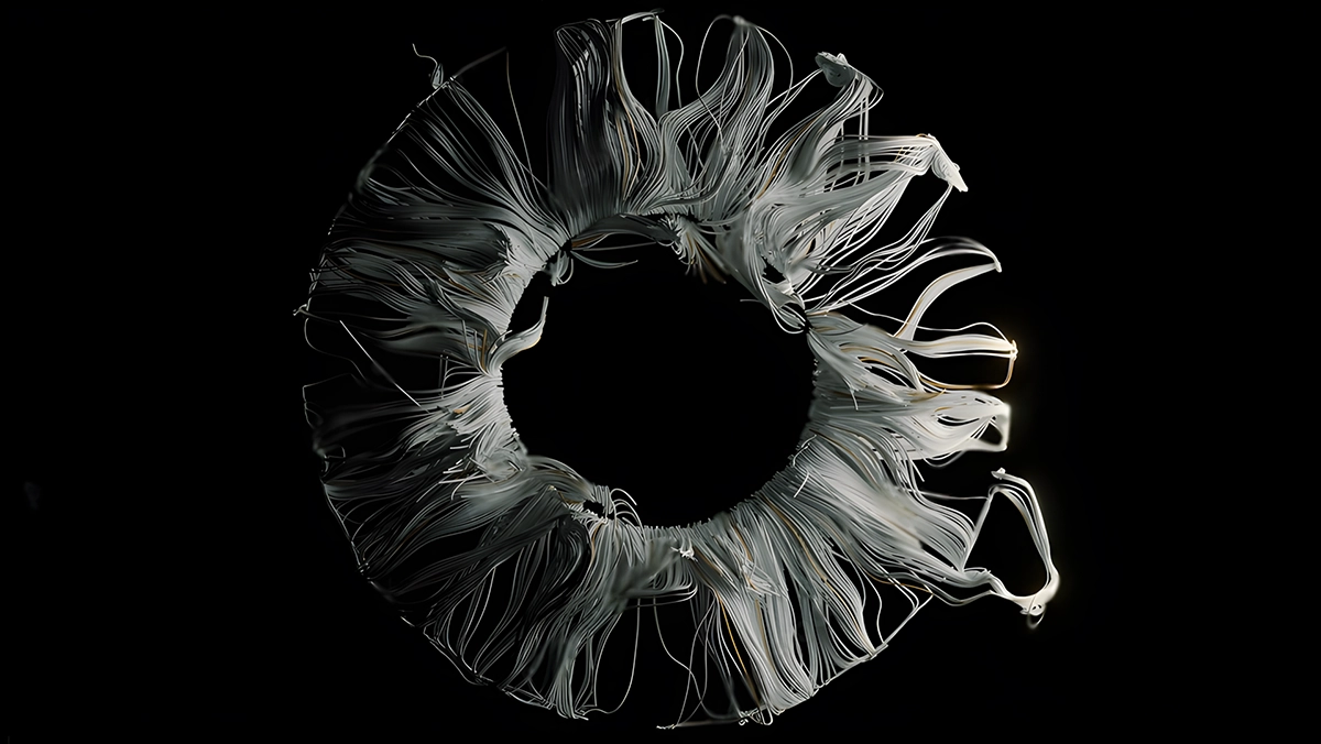 Iris circular abstracto impreso en 3D con filamentos blancos y grises que fluyen sobre un fondo oscuro, que simboliza la sostenibilidad y una visión de futuro.