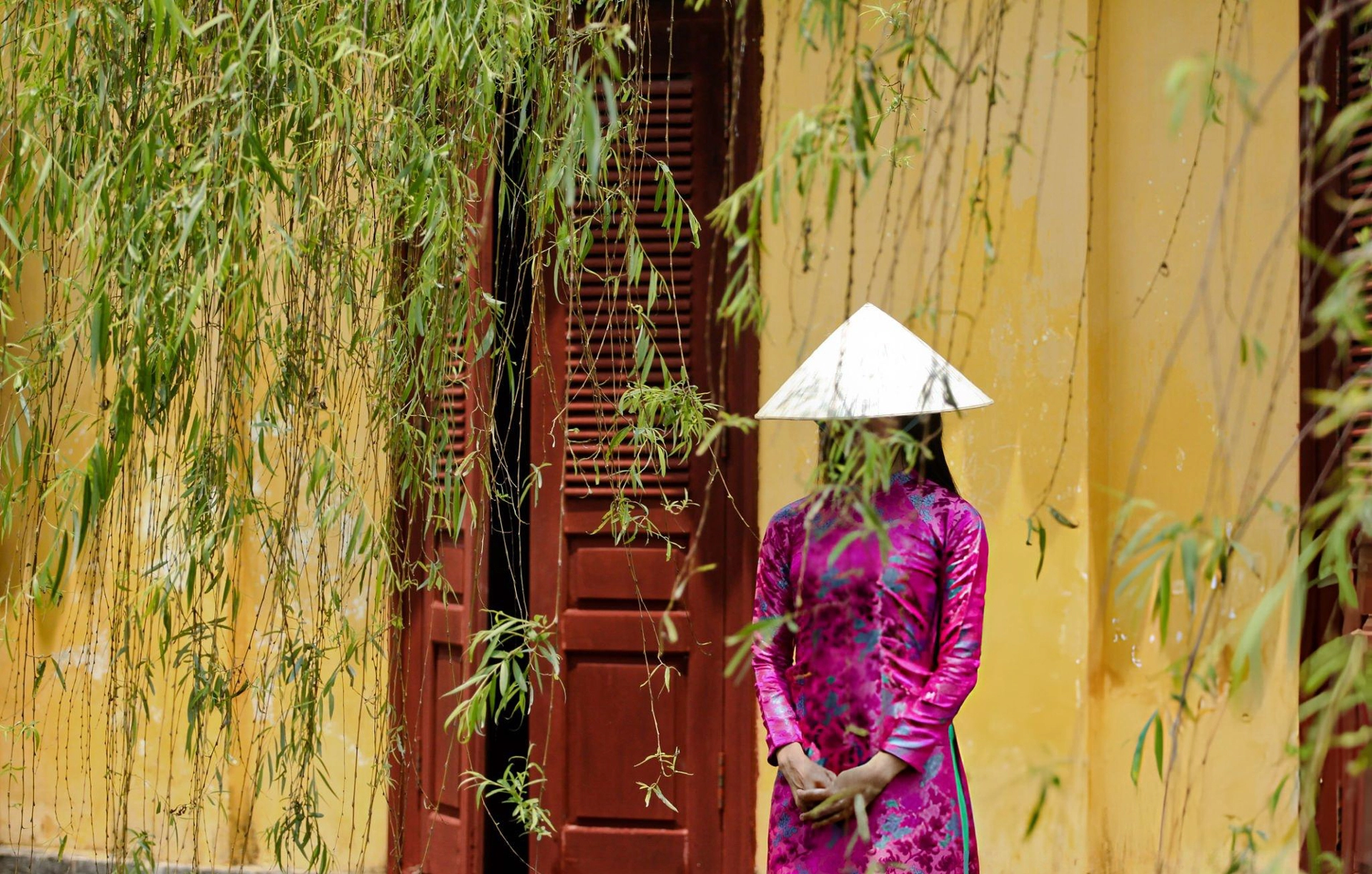 Uma mulher usando um vestido tradicional vietnamita ao dai rosa e roxo vibrante, em frente a uma estrutura de madeira com folhagem verde, destacando o uso da seda Van Phuc em trajes tradicionais.