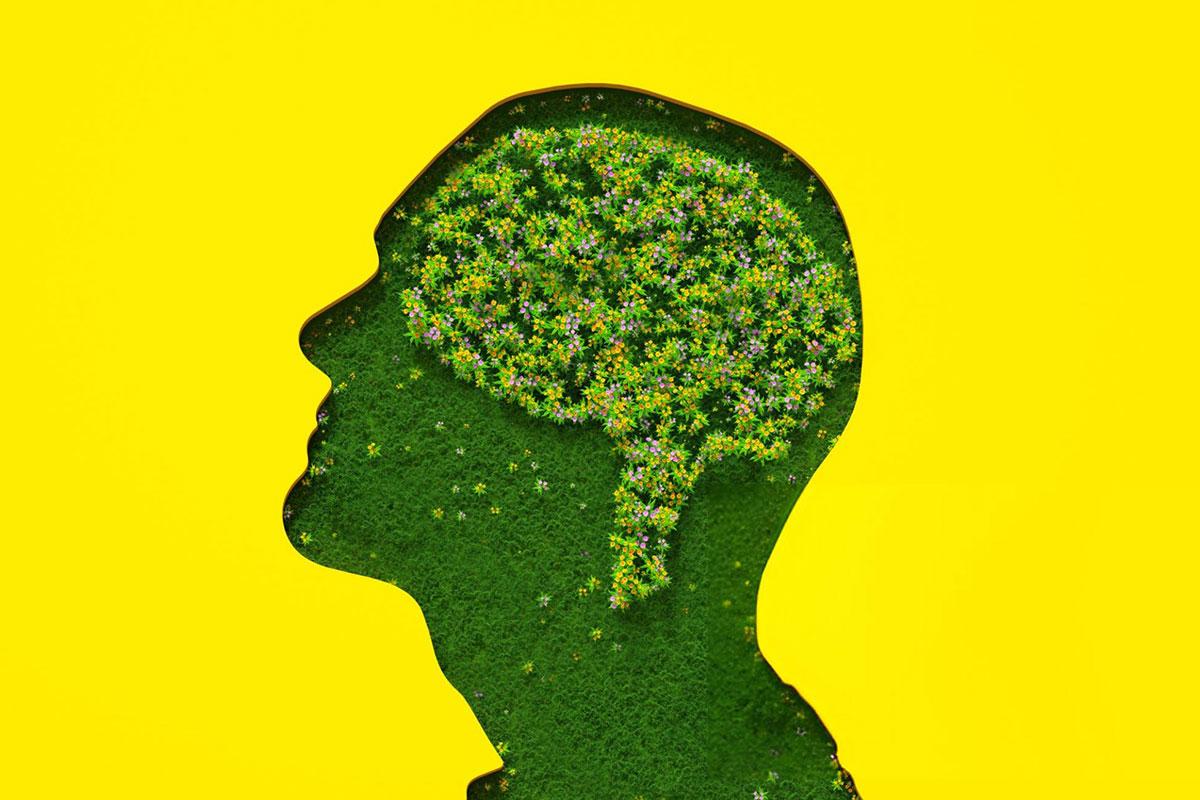 Green silhouette with floral brain on yellow background.