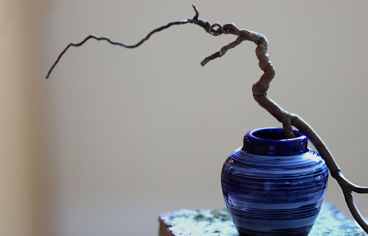 Minimalist ikebana arrangement featuring a single twisted brown branch in a cobalt blue ridged ceramic vase against a neutral background, demonstrating Japanese principles of embracing imperfection and negative space