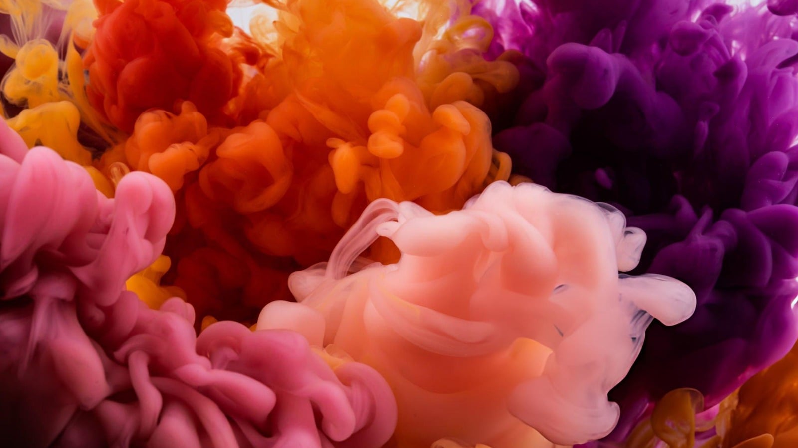 Microbial Textile Dyes Tech Check — The Fashion Globe